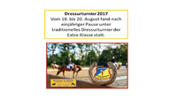 Dressurturnier 2017