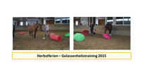 Herbstferien &ndash; Gelassenheitstraining 2015